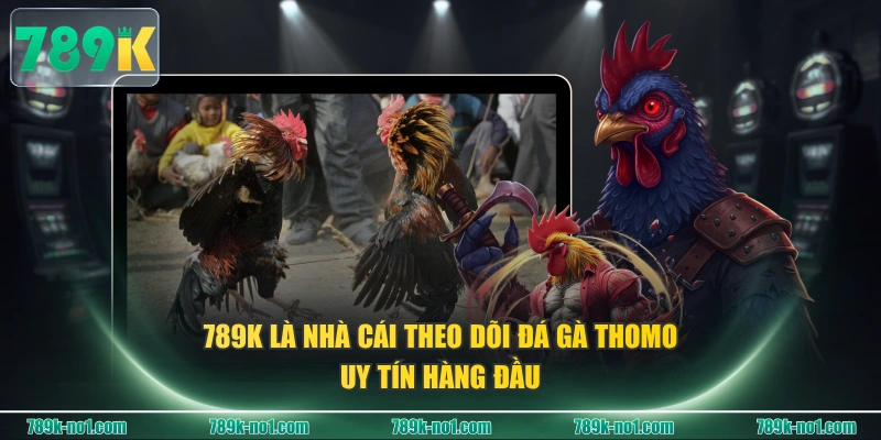 789K là nhà cái theo dõi Đá Gà Thomo uy tín hàng đầu
