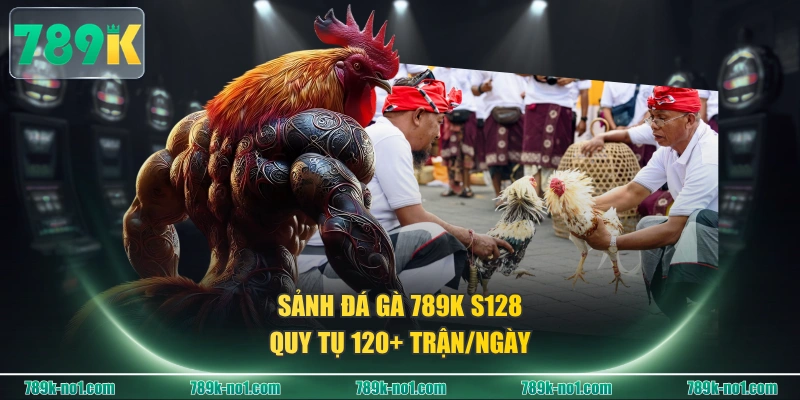 Sảnh Đá Gà 789K S128 quy tụ 120+ trận/ngày
