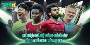 Sơ Lược Cá Độ Bóng Đá Là Gì? Hình Thức Hot Và Mẹo Hay